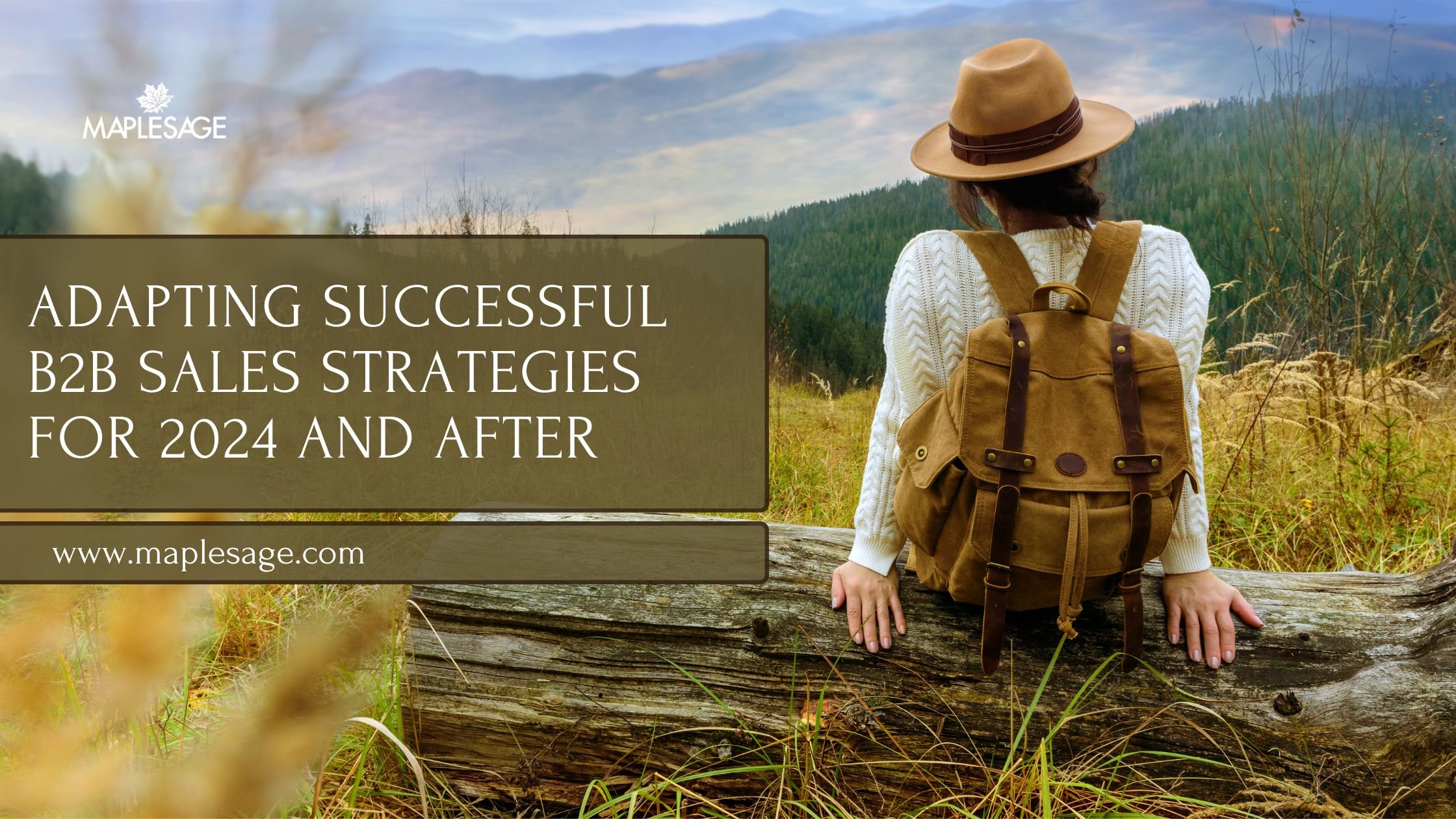 Adapting Successful B2B Sales Strategies For 2024 and after