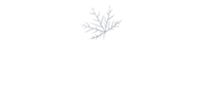 MapleSage-New-logo-without tagline-1-1