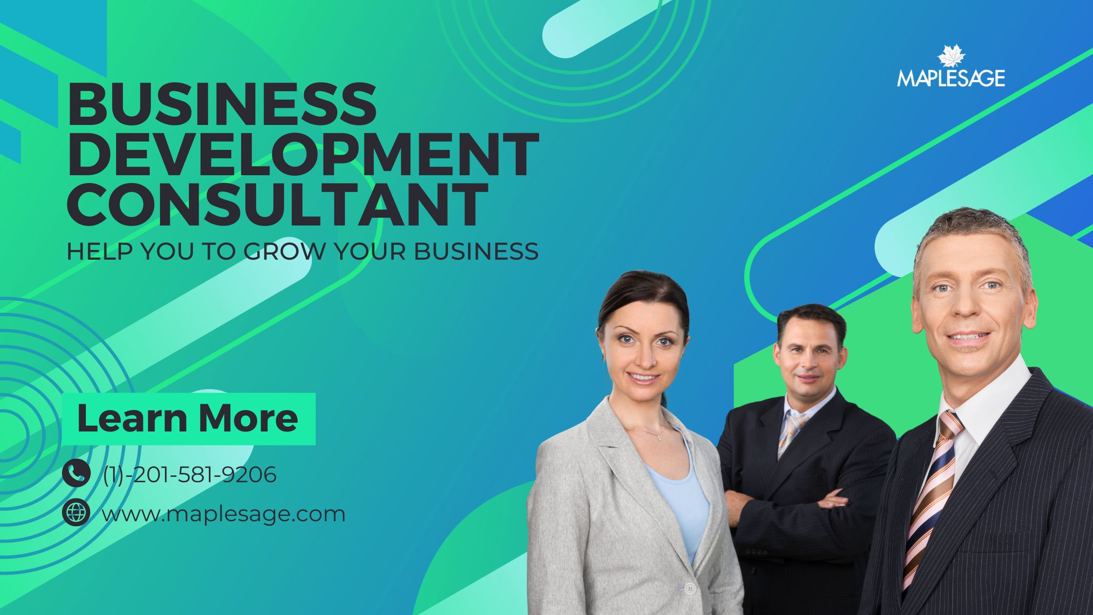 Business Development Consultant