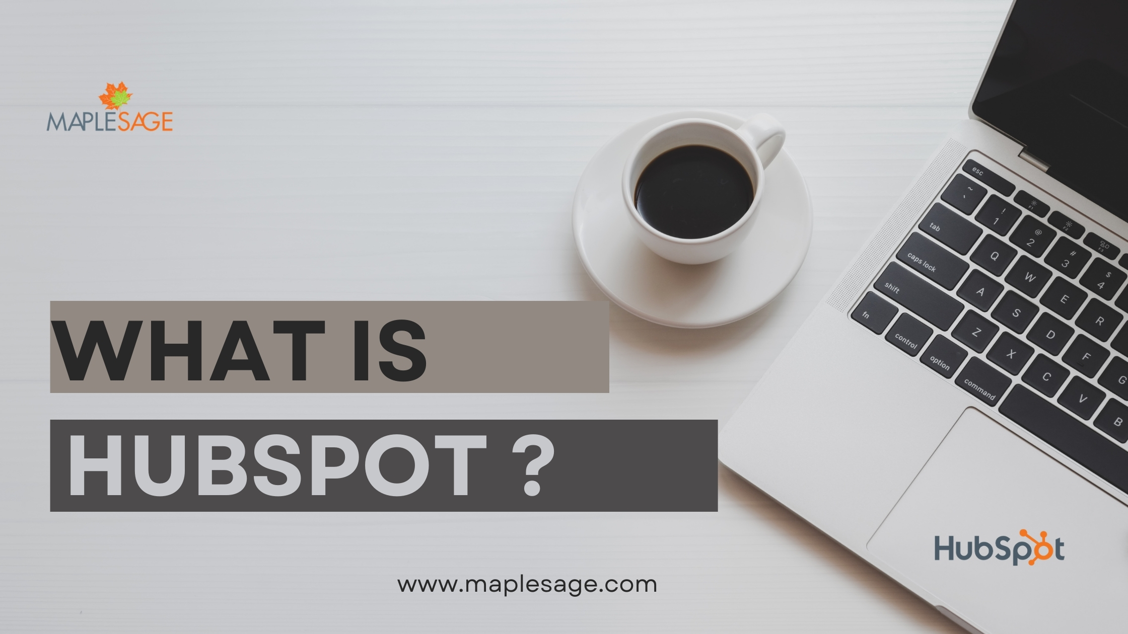 mage describing Hubspot - CRM + CMS