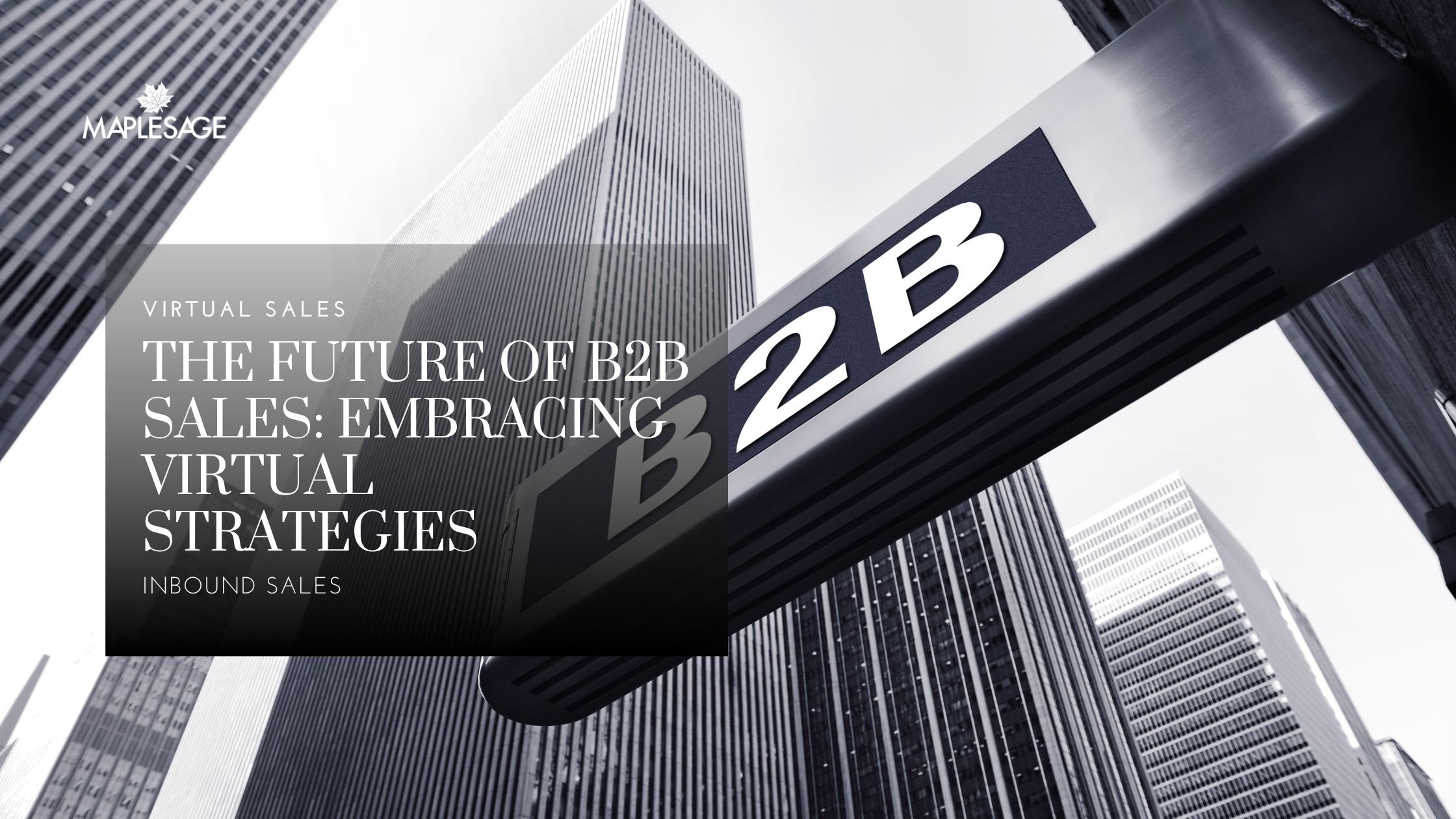 The Future of B2B Sales: Embracing Virtual Strategies